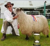 Teeswater hogg takes top prize